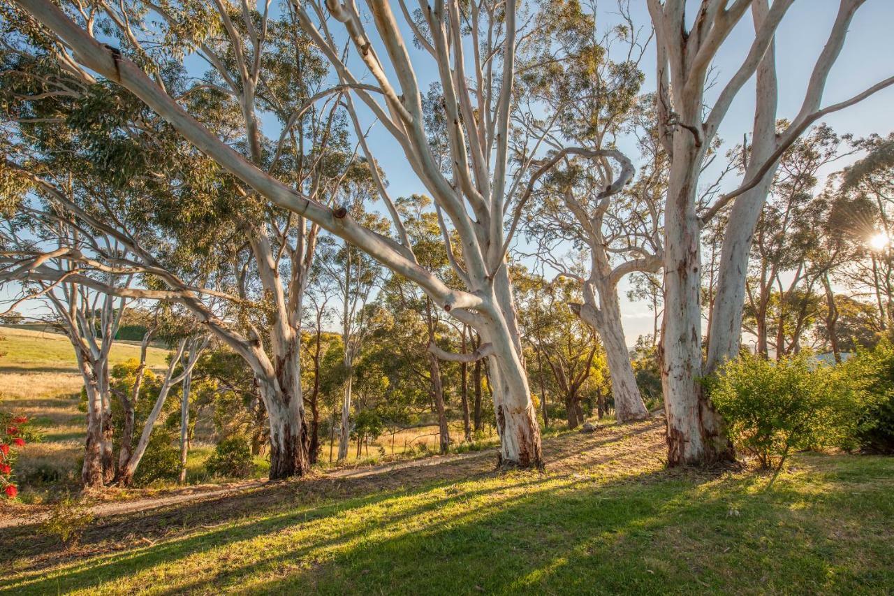 Discovery Parks - Hahndorf Buitenkant foto